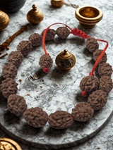 4 Mukhi Indonesian Rudraksha Bracelet (Certified) – बुद्धि, ज्ञान & Creativity Booster|27 Beads  | X-Ray Tested Original Rudraksha | RudraVishnu