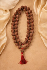 6 Mukhi Rudraksha Mala 108+1 Beads (20–22 mm) from Nepal | RudraVishnu | Natural & certified