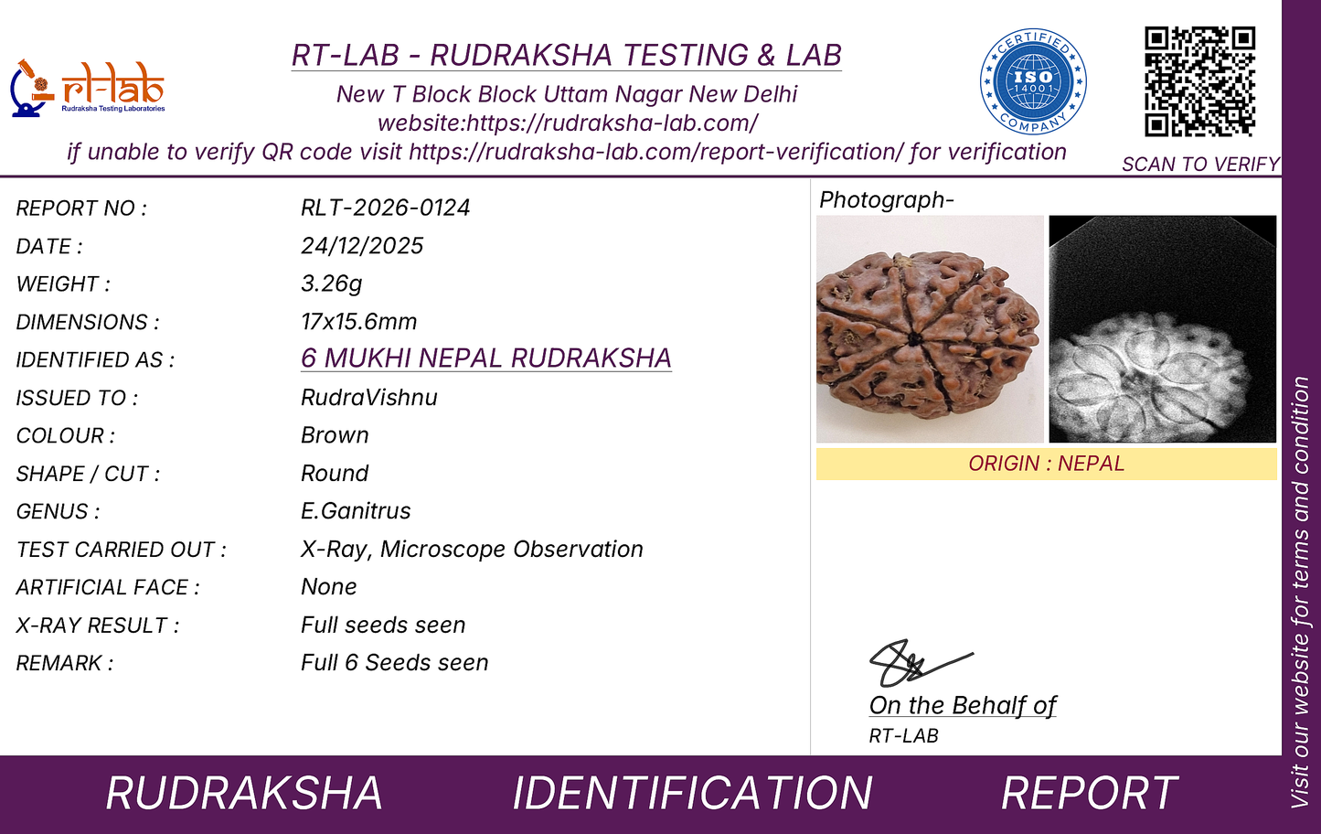 Rudravishnu 6 Mukhi Nepal Rudraksha | Natural & Untreated | X-Ray Certified Six Faced Rudraksha Bead (20–22mm)