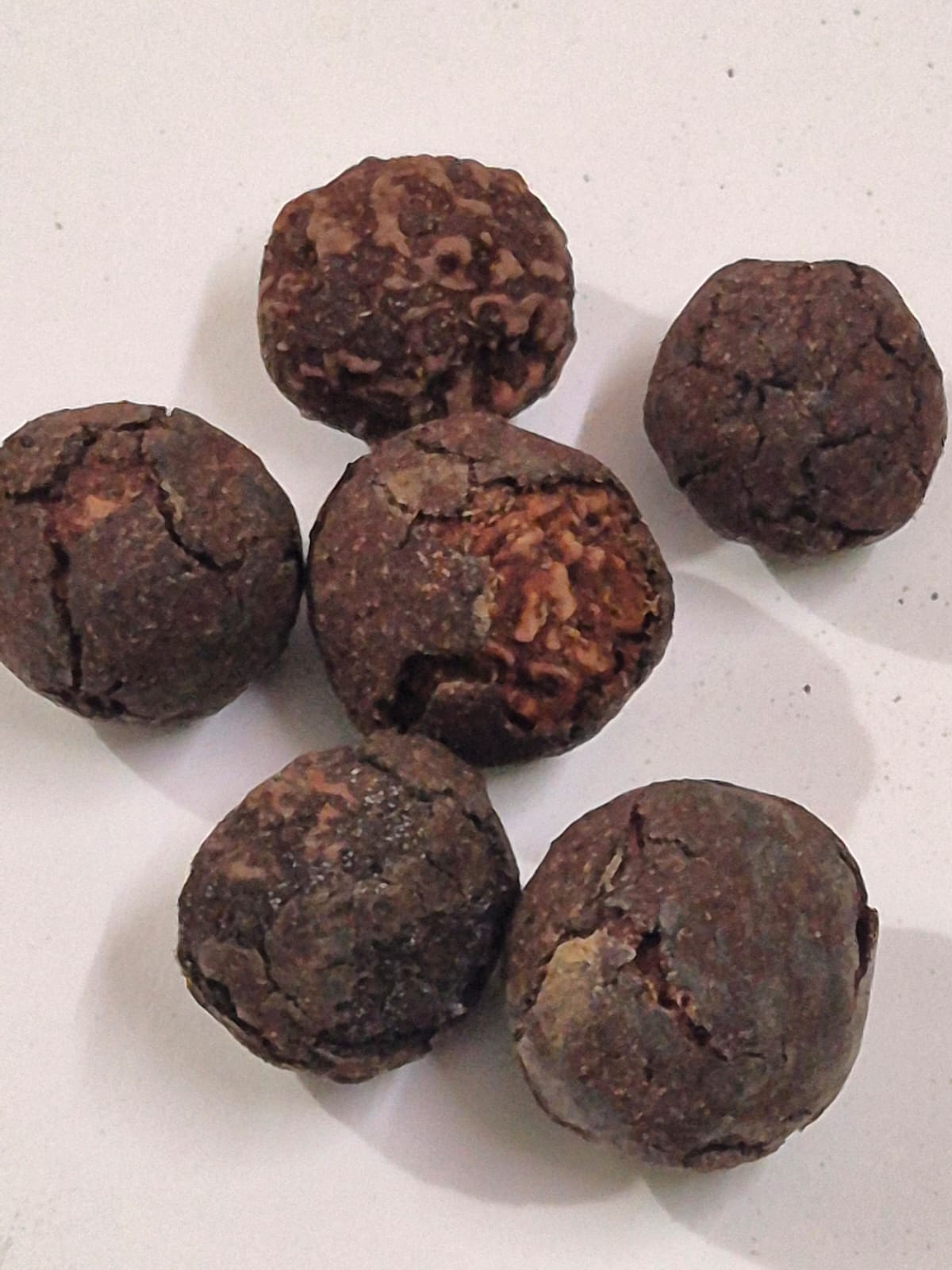 Premium Rudraksha Fruits (Natural & Authentic) – Buy Online at Best Price | RudraVishnu || 5 Piece