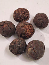 Premium Rudraksha Fruits (Natural & Authentic) – Buy Online at Best Price | RudraVishnu || 5 Piece