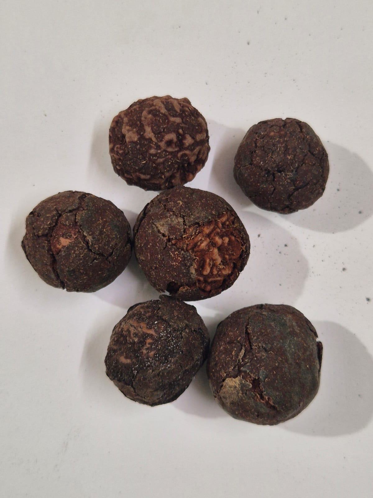 Premium Rudraksha Fruits (Natural & Authentic) – Buy Online at Best Price | RudraVishnu || 5 Piece