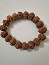 Rudravishnu 7 Mukhi Rudraksha Bracelet  | Natural Untreated Bead | Sample X-Ray Tested | Wealth & Prosperity