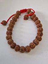 Rudravishnu 5 Mukhi Indonesian Rudraksha Bracelet (8–10mm) | Natural Beads | Sample Beads Included | X-Ray Certified