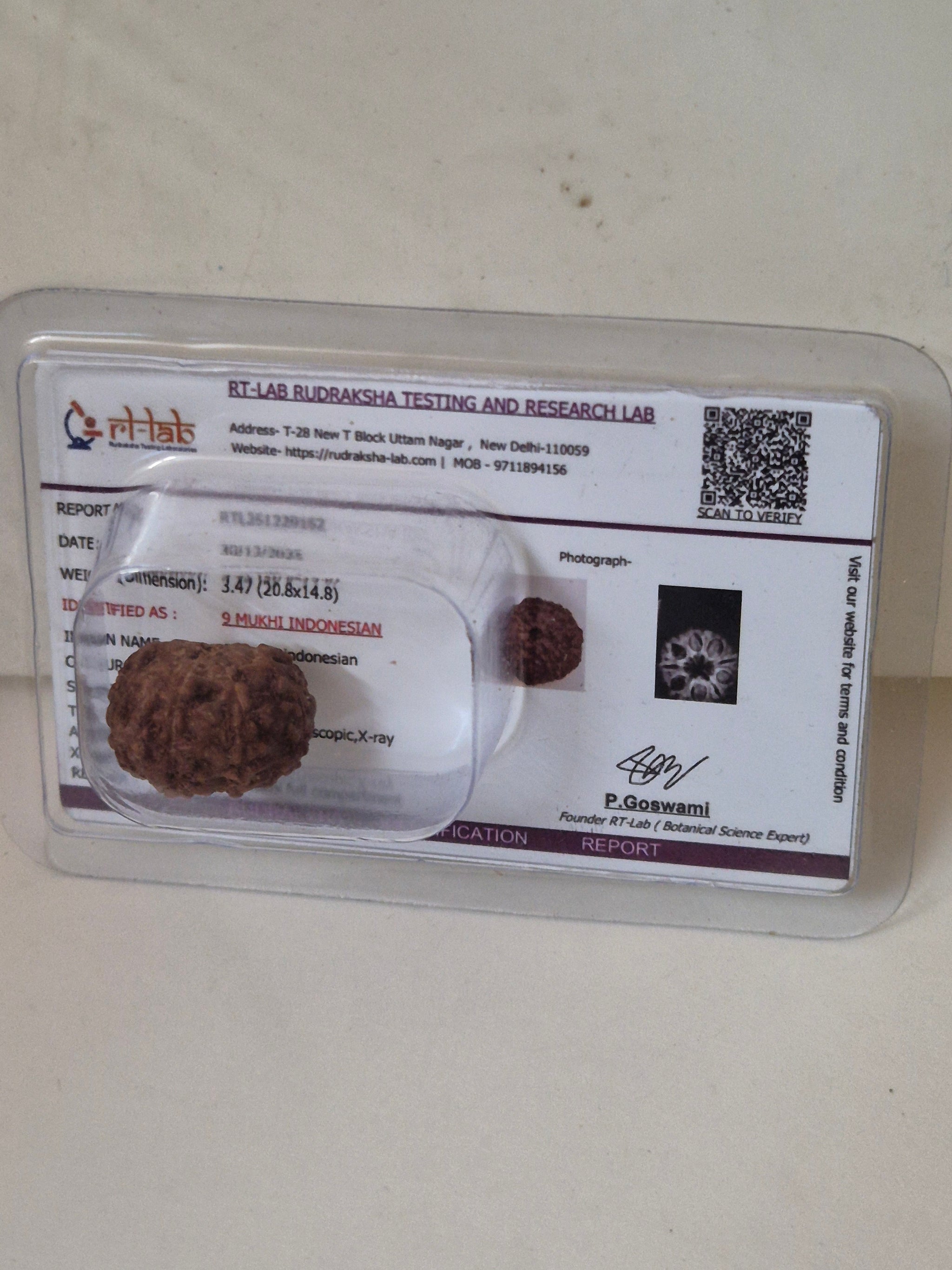 9 Mukhi Rudraksha Indonesian 16mm+ Natural Bead | X-Ray Certified Original