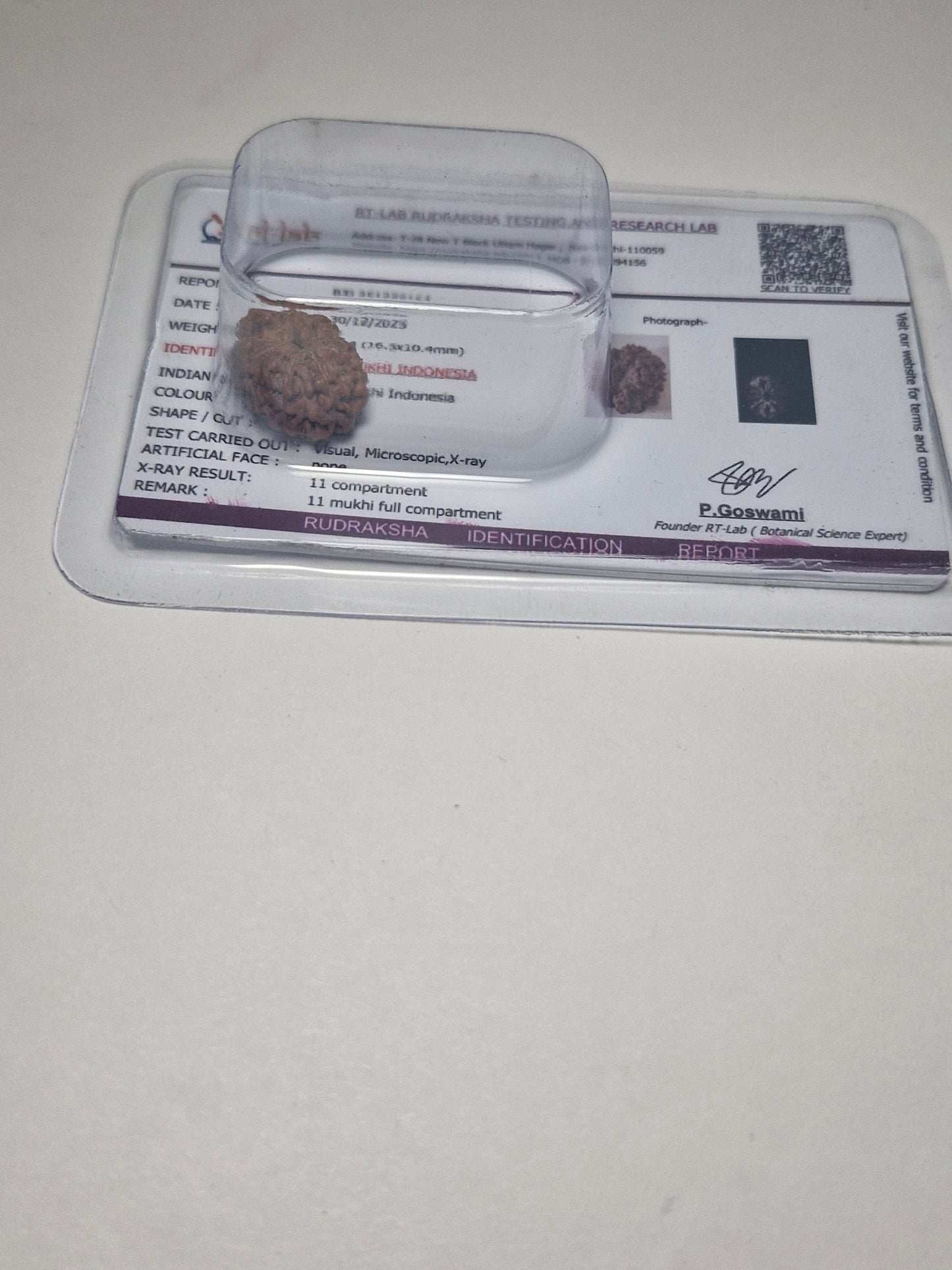 11 Mukhi Rudraksha – Original Natural Eleven Faced Rudraksha for Courage, Protection & Spiritual Power