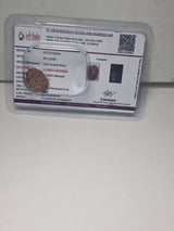 11 Mukhi Rudraksha – Original Natural Eleven Faced Rudraksha for Courage, Protection & Spiritual Power