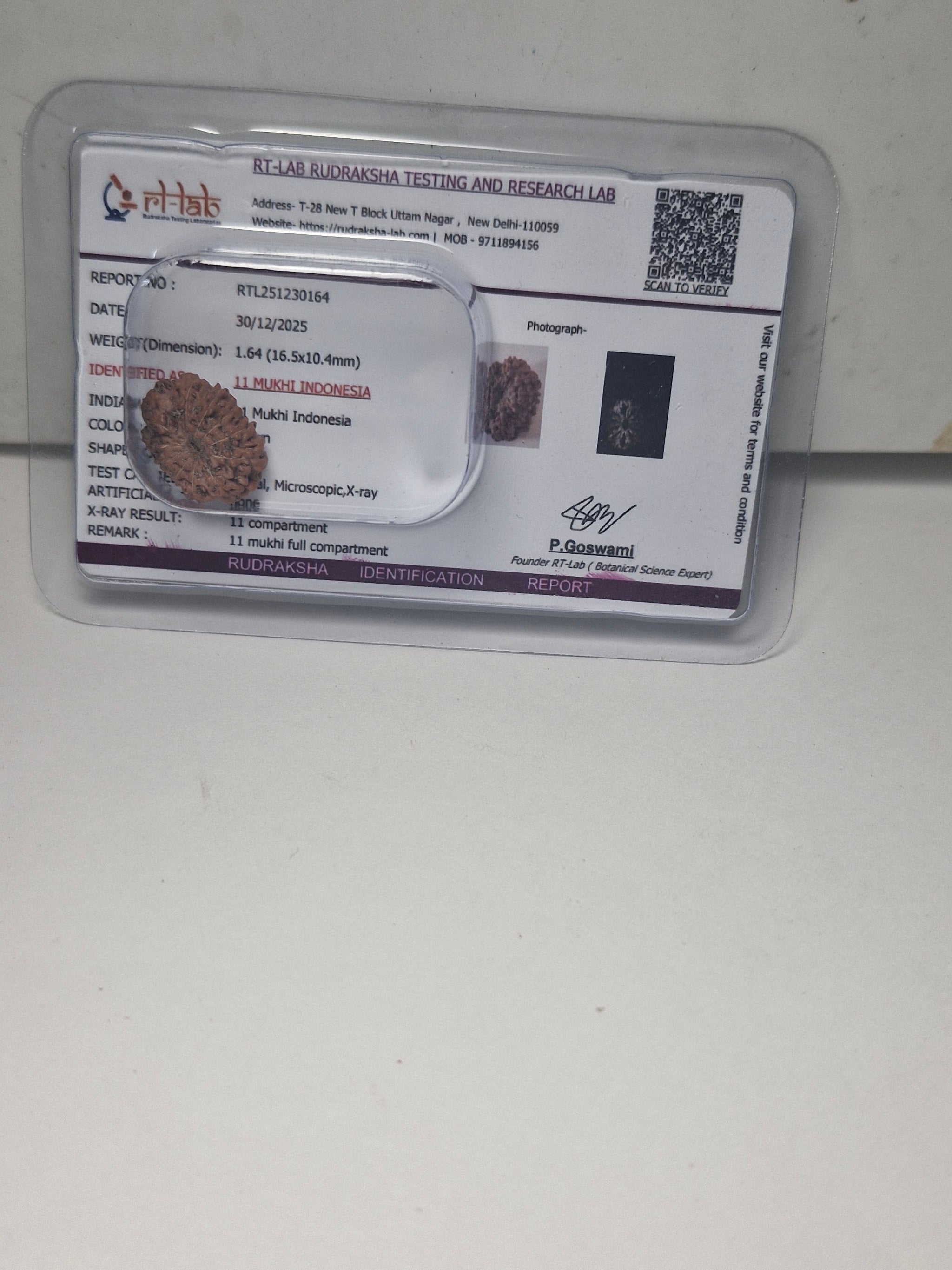 11 Mukhi Rudraksha – Original Natural Eleven Faced Rudraksha for Courage, Protection & Spiritual Power
