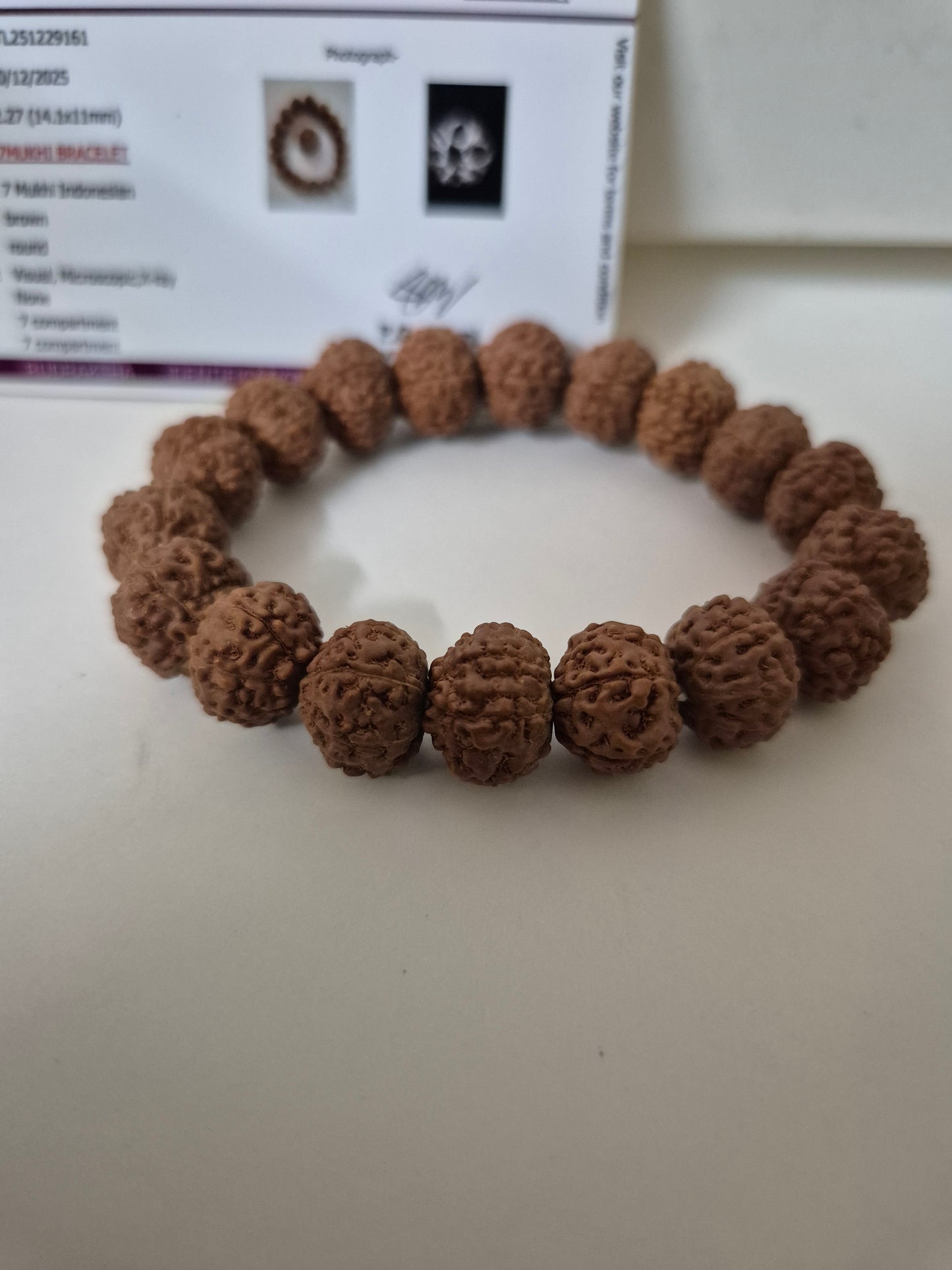 Rudravishnu 7 Mukhi Rudraksha Bracelet  | Natural Untreated Bead | Sample X-Ray Tested | Wealth & Prosperity