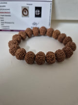 Rudravishnu 7 Mukhi Rudraksha Bracelet  | Natural Untreated Bead | Sample X-Ray Tested | Wealth & Prosperity