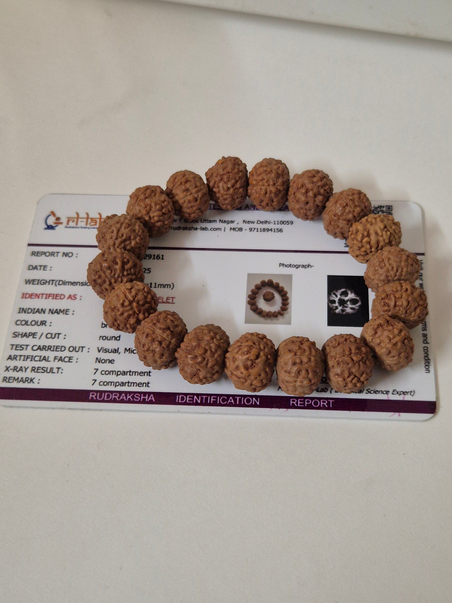 Rudravishnu 7 Mukhi Rudraksha Bracelet  | Natural Untreated Bead | Sample X-Ray Tested | Wealth & Prosperity
