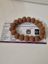 Rudravishnu 7 Mukhi Rudraksha Bracelet  | Natural Untreated Bead | Sample X-Ray Tested | Wealth & Prosperity