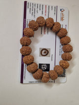 Rudravishnu 7 Mukhi Rudraksha Bracelet  | Natural Untreated Bead | Sample X-Ray Tested | Wealth & Prosperity