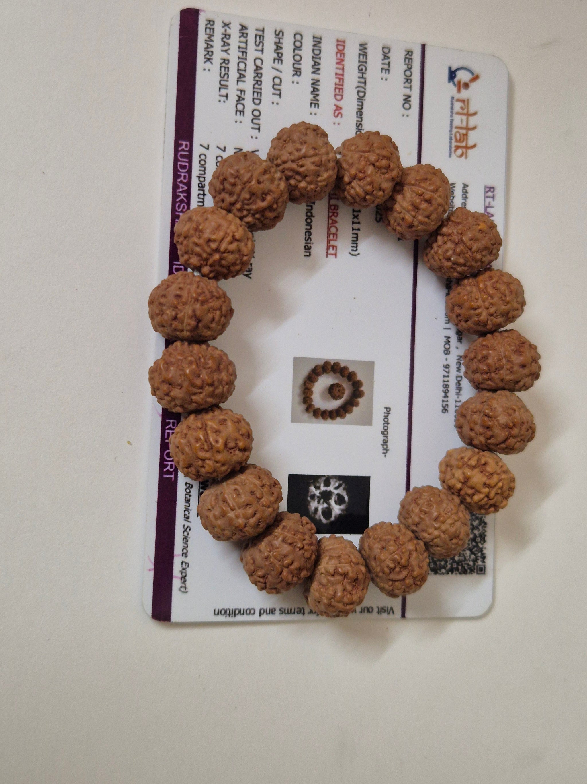 Rudravishnu 7 Mukhi Rudraksha Bracelet  | Natural Untreated Bead | Sample X-Ray Tested | Wealth & Prosperity