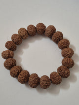 Rudravishnu 7 Mukhi Rudraksha Bracelet  | Natural Untreated Bead | Sample X-Ray Tested | Wealth & Prosperity