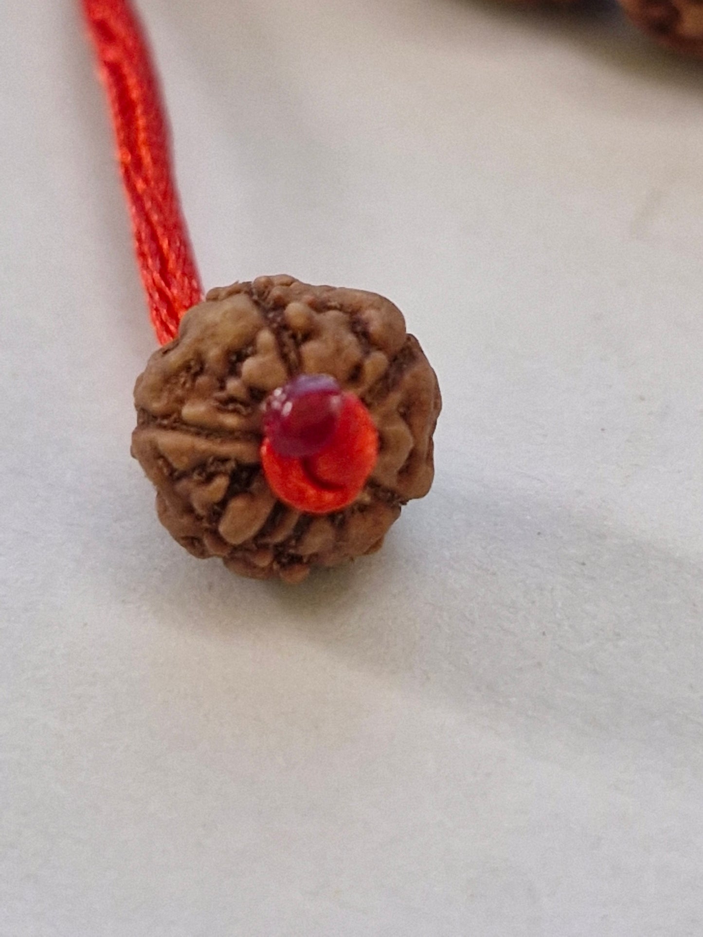 Rudravishnu 5 Mukhi Indonesian Rudraksha Bracelet (8–10mm) | Natural Beads | Sample Beads Included | X-Ray Certified
