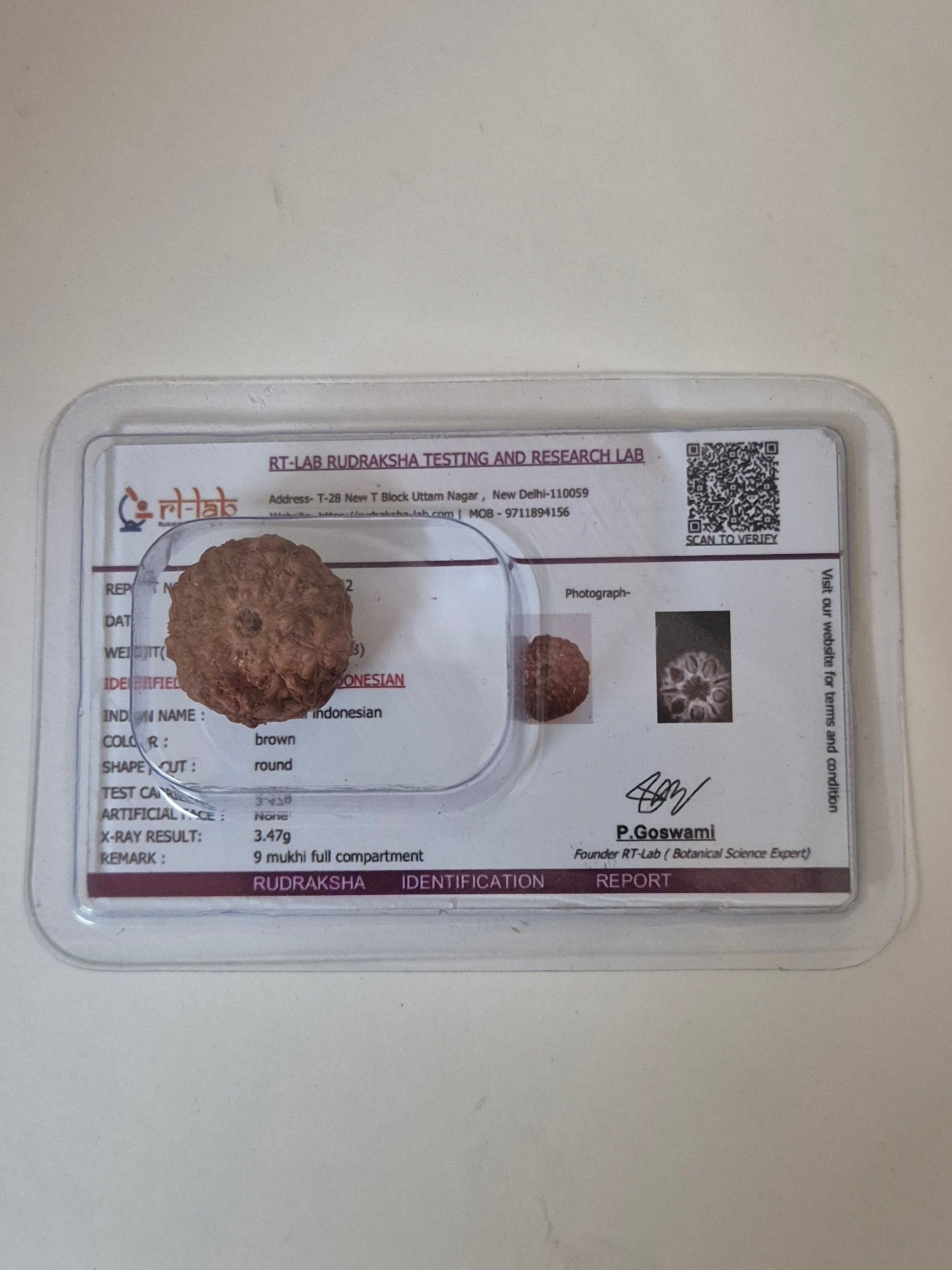 9 Mukhi Rudraksha Indonesian 16mm+ Natural Bead | X-Ray Certified Original