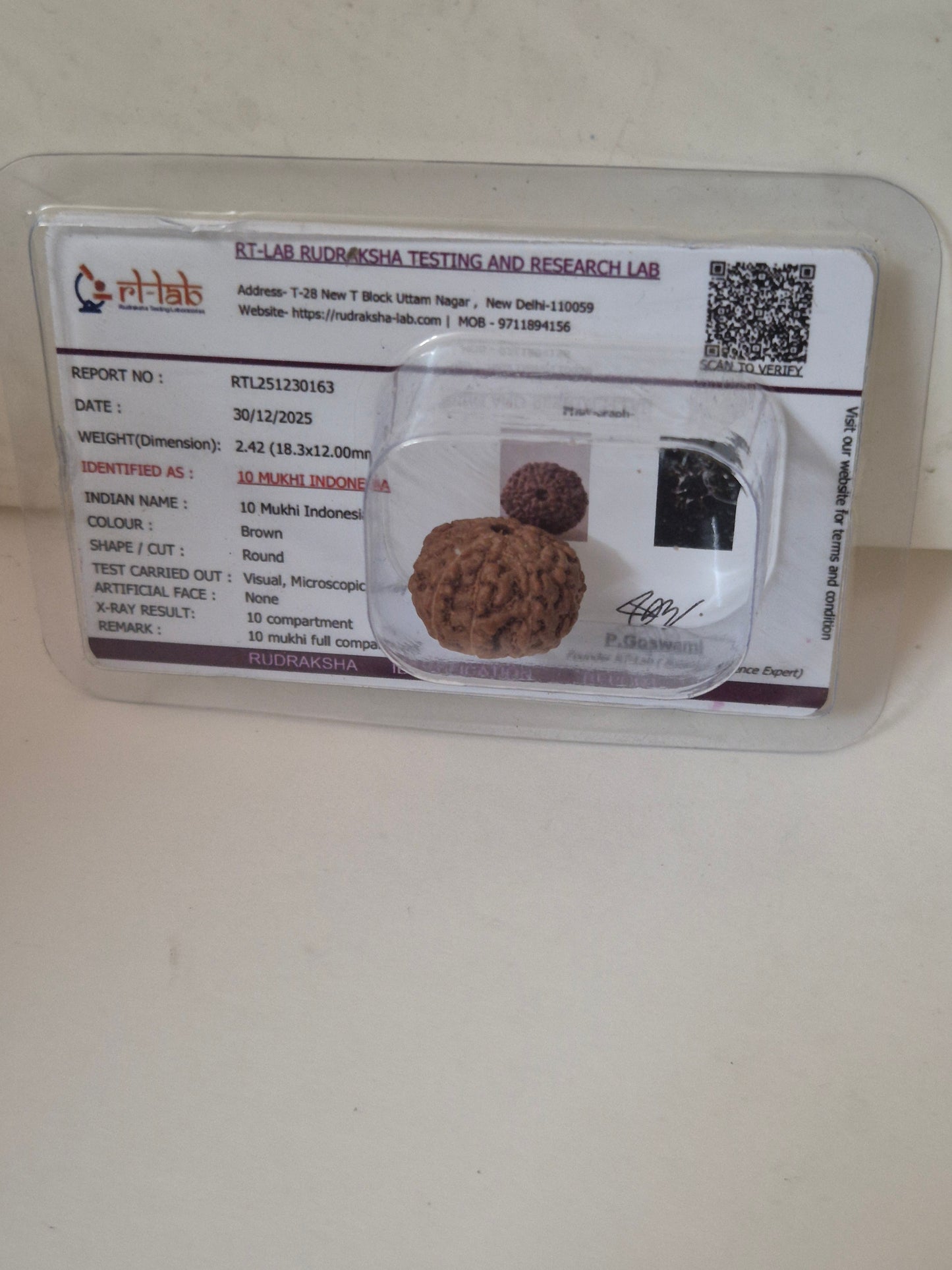 Rudravishnu 10 Mukhi Indonesian Rudraksha – Natural Dashmukhi | X-Ray Certified | Protection & Peace