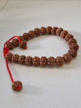 Rudravishnu 5 Mukhi Indonesian Rudraksha Bracelet (8–10mm) | Natural Beads | Sample Beads Included | X-Ray Certified