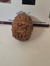 Rudravishnu 10 Mukhi Indonesian Rudraksha – Natural Dashmukhi | X-Ray Certified | Protection & Peace
